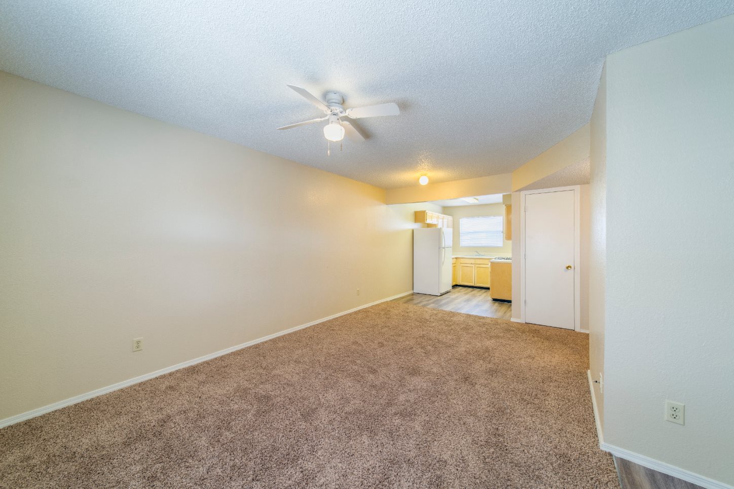 Gallery Photo 10